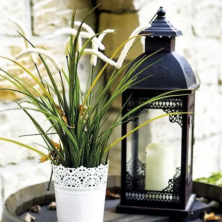 Hotel Andreas Dresda